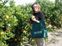 Maria Orange Picking